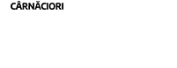Piticup-logo-footer
